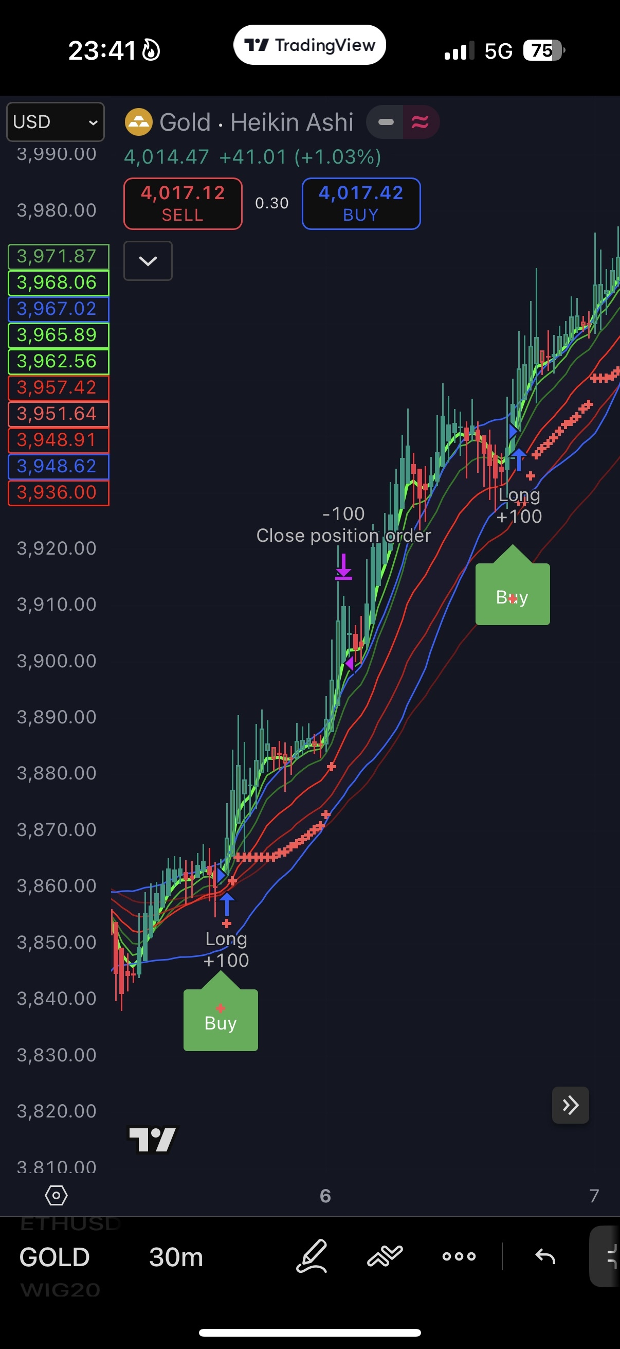 TradeMaster Mobile Interface